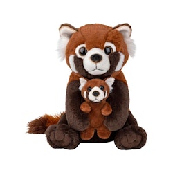 Röd Panda med Unge