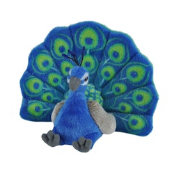 Påfågel