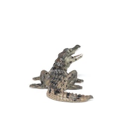 Krokodilunge