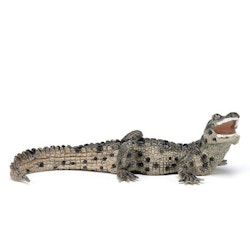 Krokodilunge