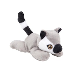 Wild Beans Lemur