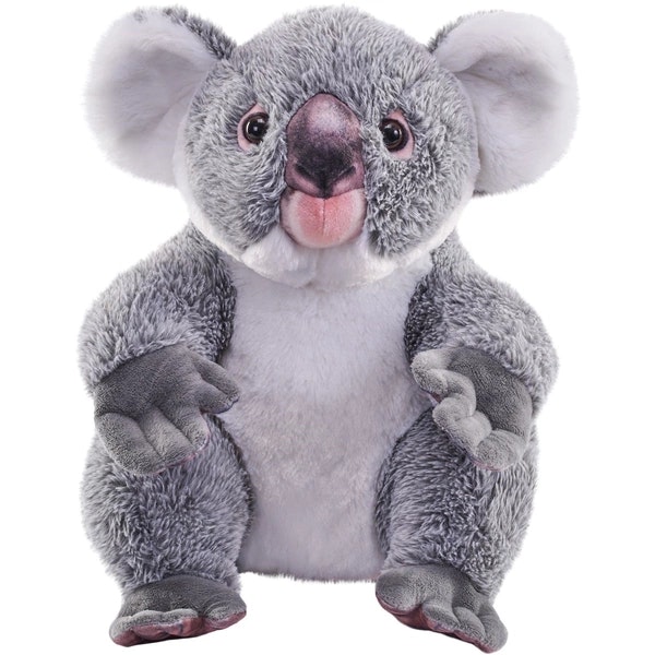 Artist Koala