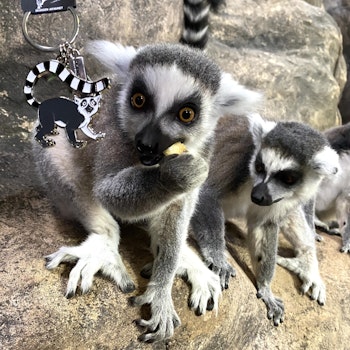 Skansen-Akvariet Nyckelring Lemur