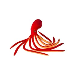 Splash S Bläckfisk