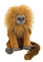 Lejontamarin