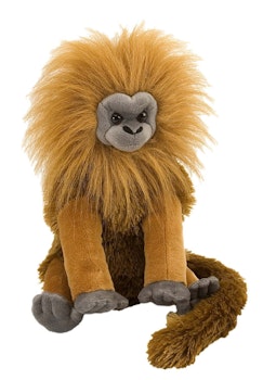 Lejontamarin