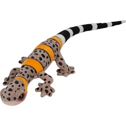 Funkyland Vietnamese Cave Gecko