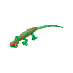 Funkyland Madagascar Day Gecko