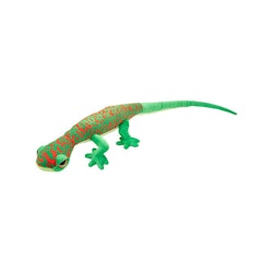 Funkyland Large Madagascar Day Gecko