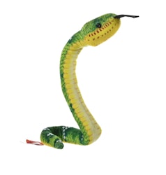 Coilkins Emerald Boa