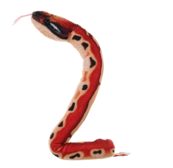 Coilkins Blood Python