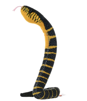 Coilkins Black Fanged Mongrove Snake