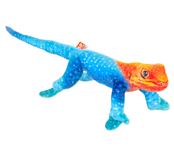 Coilkins Rainbow Lizard