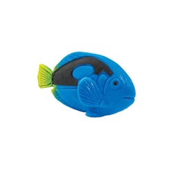 Mini Kirurgfisk
