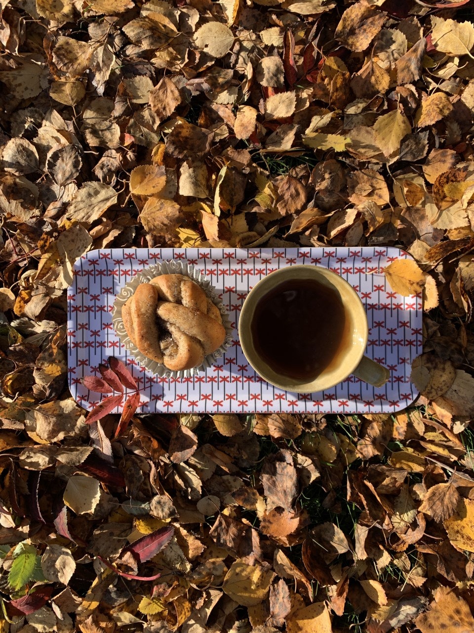 LEDKRYSS avlång frukostfikabricka