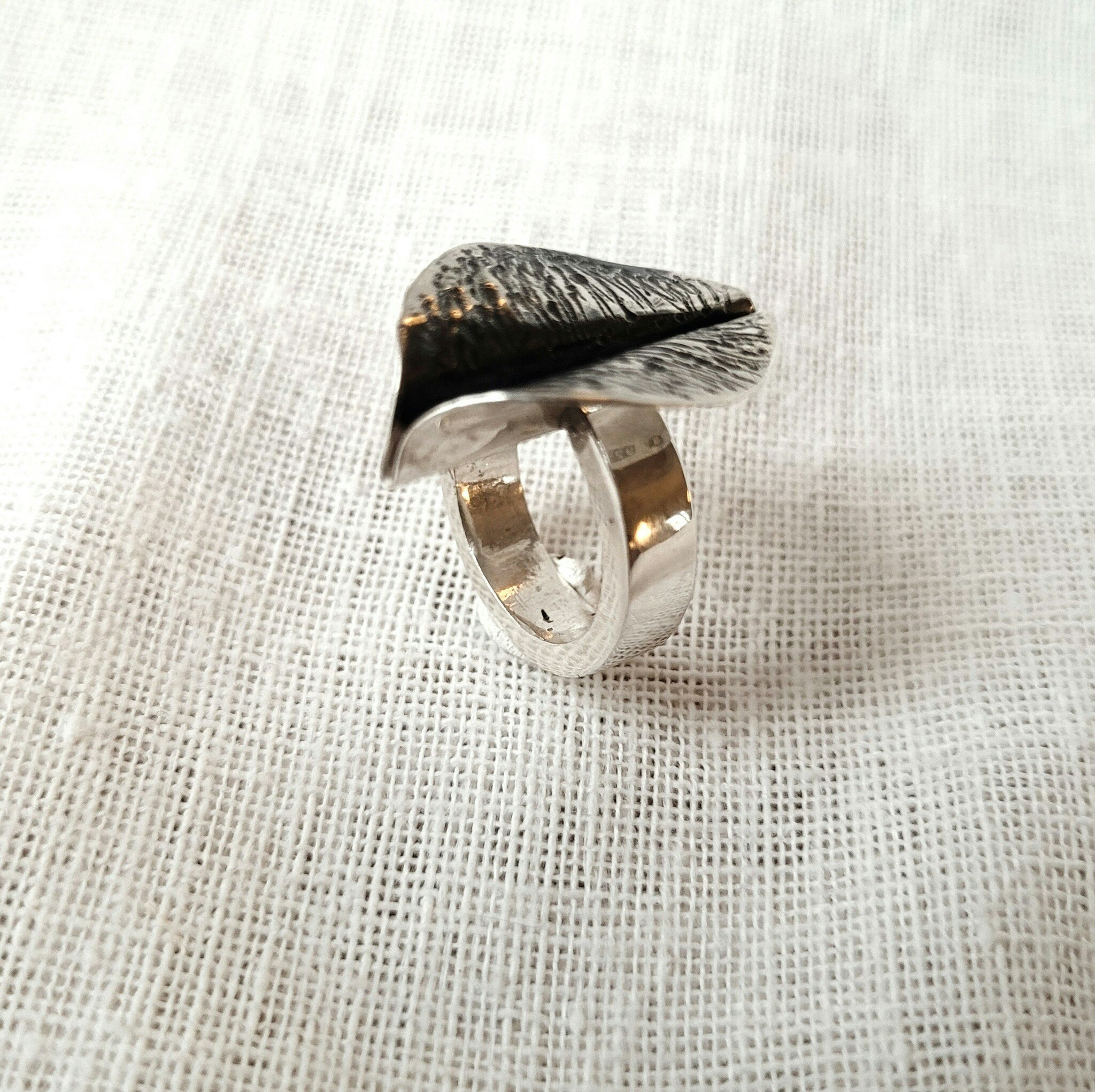 Ring med silvervingar