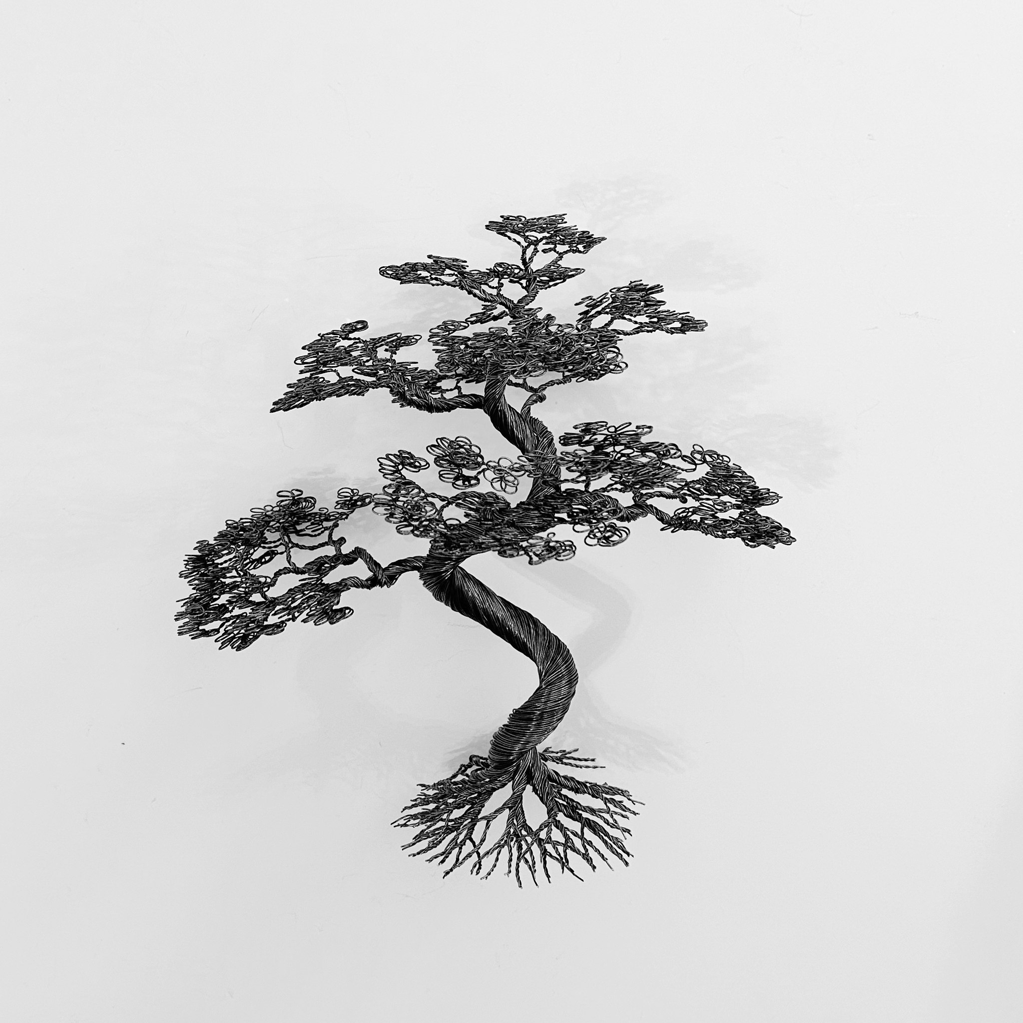 Bonsai , pris från: