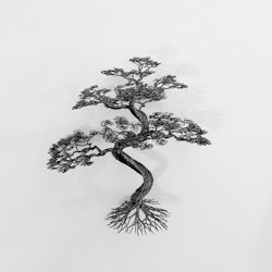 Bonsai , pris från: