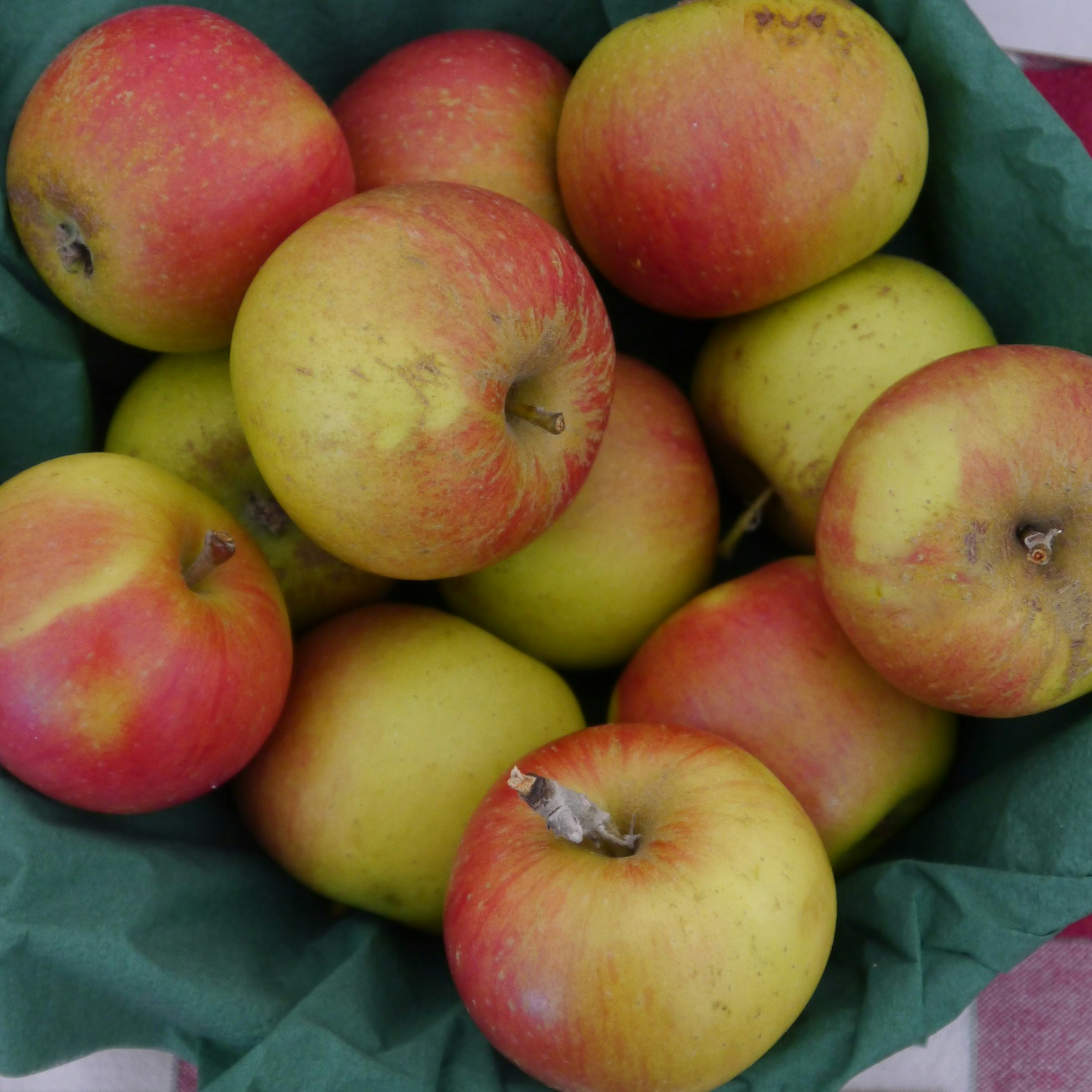 Äpple 'Ribston'