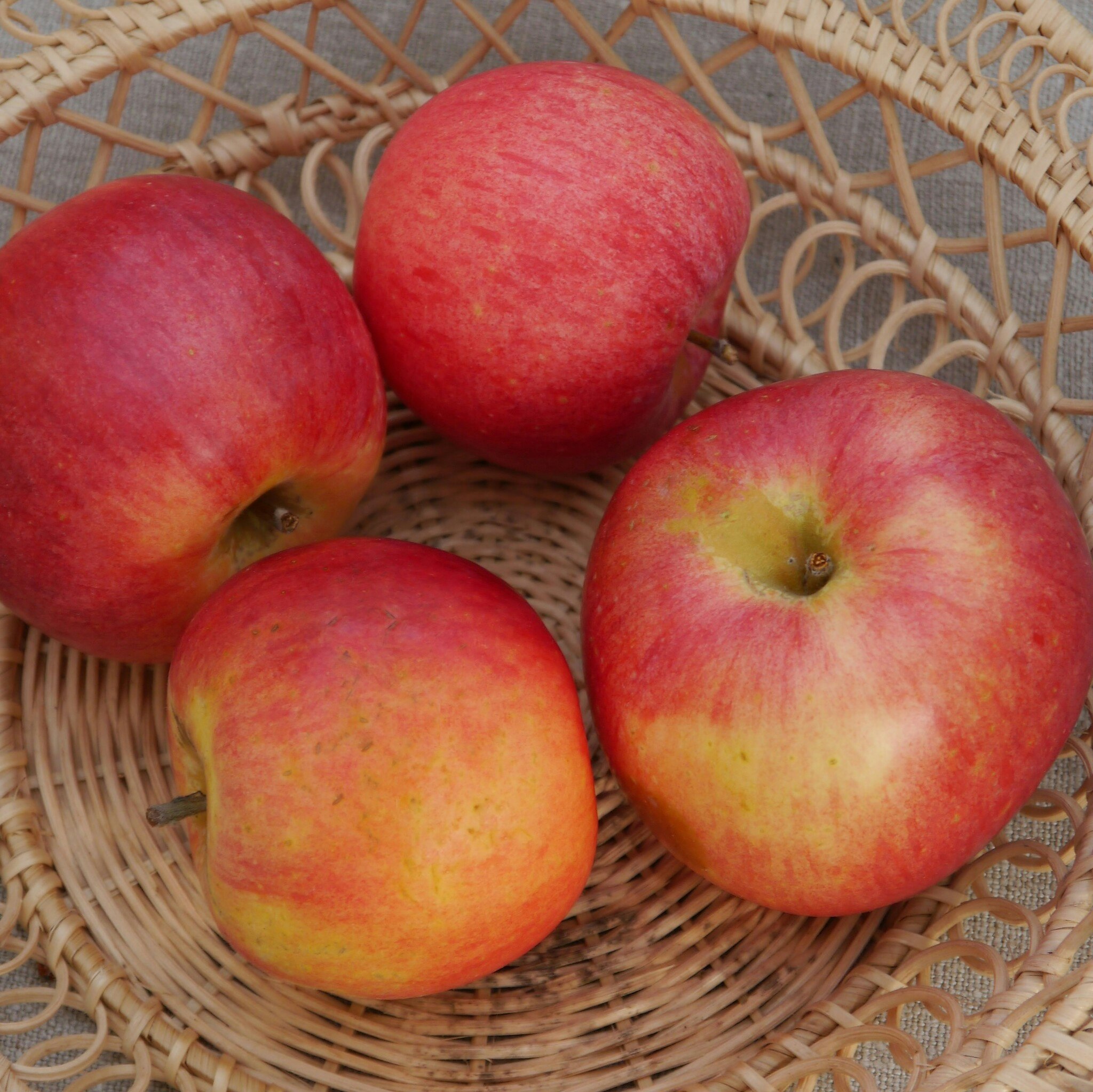 Äpple Birgitt Bonnier