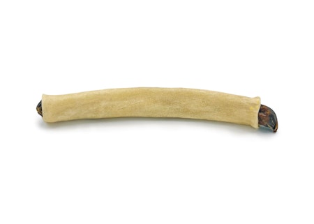 RAUH Moose Bullet