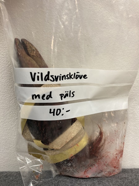 Vildsvinsfot med päls och klöv (-50%)