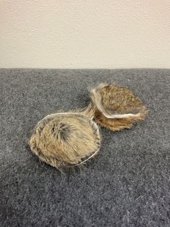 Pocket pip