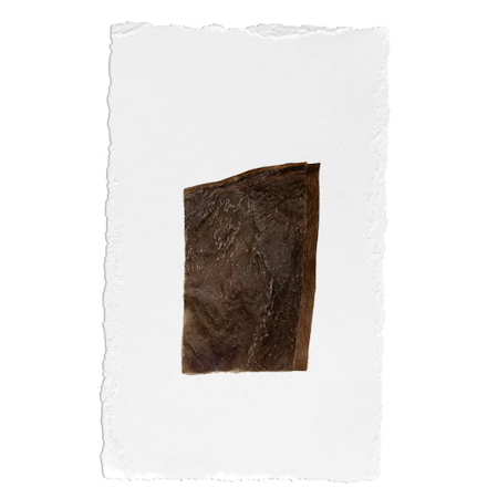 NJORD PET Nötchips 5-pack