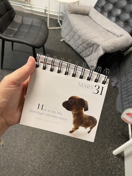 Second hand: kalender-bok ny