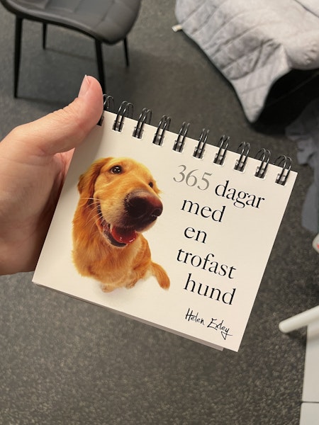Second hand: kalender-bok ny