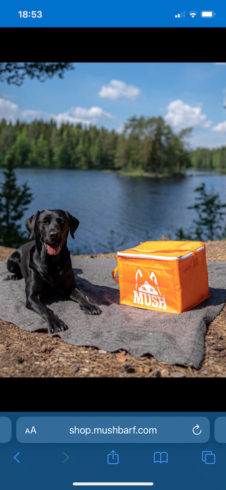 MUSH Kylväska