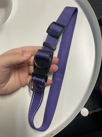 Second hand: ställbart halsband lila reflex