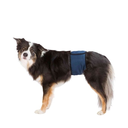 Trixie Hanhundsskydd