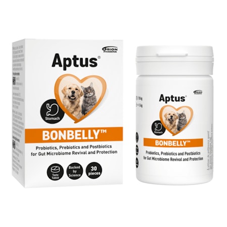 Aptus Bonbelly