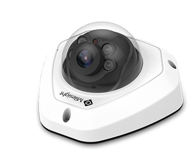 H.265+ Weather-proof Mini Dome Network Camera