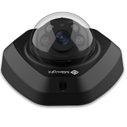 AI Vandalsäker Mini Dome Kamera