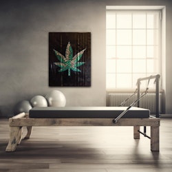 Planta X