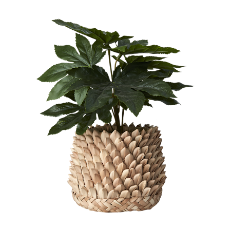 SPIKY Kruka, Natur
