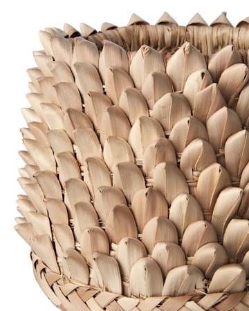 SPIKY Kruka, Natur