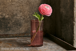 VIOLETTA Vas av återvunnet glas, Rosa