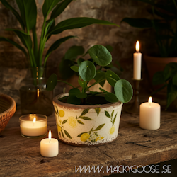 LEMONA Kruka S, Vit/grön/gul