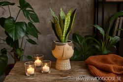 CAMILLE Kruka M, Beige/svart