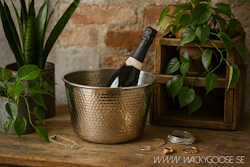 CARTER Champagnekylare, Silverfärgad