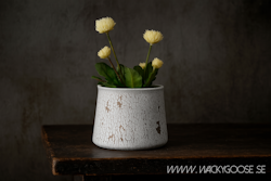 Kruka Stengods, Beige