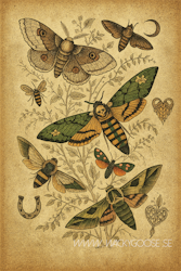 "Mystic Moths" - Vintage Poster med Fjärilar & Symbolik