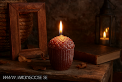 DECO Ekollon, Kola