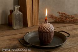DECO Ekollon, Brun