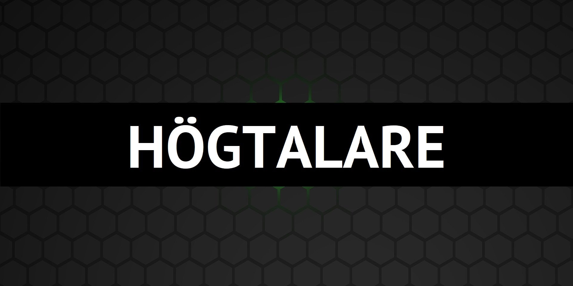 HÖGTALARE - dBakuten Sandviken