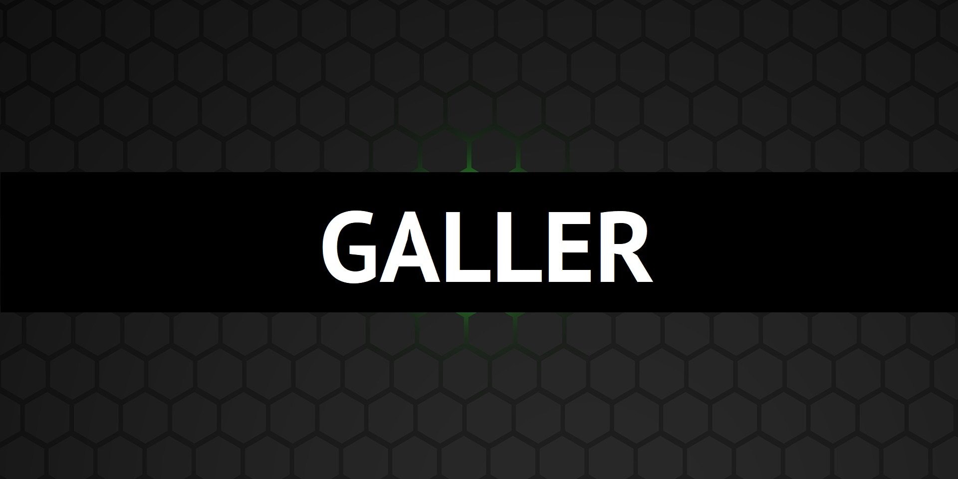 GALLER - dBakuten Sandviken