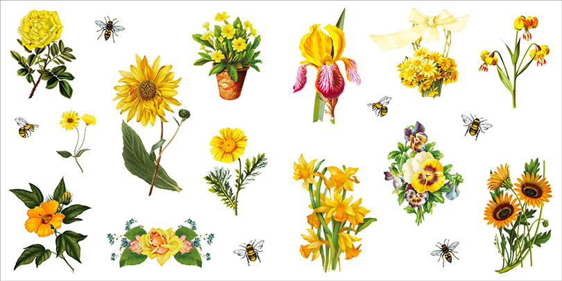 Stickersbok Bunches of Botanicals (500 stickers)